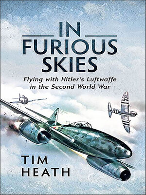 cover image of In Furious Skies